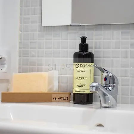 Apartment Santina